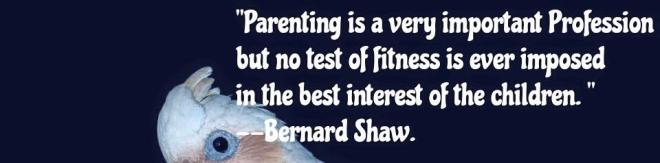 No Test of Parenting FITNESS - 2015
